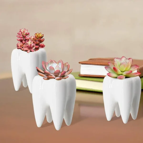 Maceta de cerámica con forma de diente de piezas, muebles para el hogar, maceta de Cactus, flor, planta suculenta, mesa de lavabo de guardería, Va L5L0, 1 ud. - Imagen 4