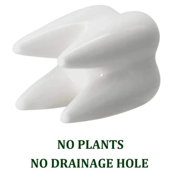 Maceta de cerámica con forma de diente de piezas, muebles para el hogar, maceta de Cactus, flor, planta suculenta, mesa de lavabo de guardería, Va L5L0, 1 ud. - Imagen 6