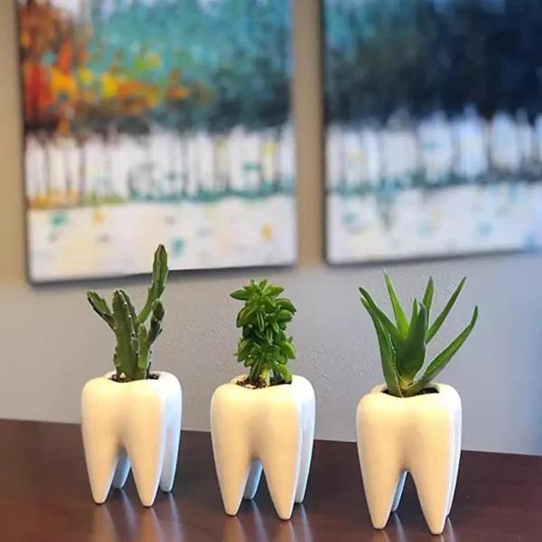 Maceta de cerámica con forma de diente de piezas, muebles para el hogar, maceta de Cactus, flor, planta suculenta, mesa de lavabo de guardería, Va L5L0, 1 ud. - Imagen 5